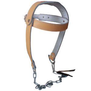 Head Harness